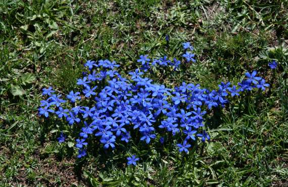 Kayak, Rafting, Canyoning - Camping les Mille Vents