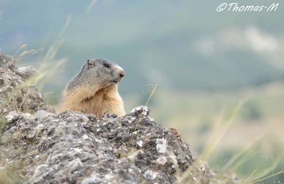 Kayak, Rafting, Canyoning - Camping les Mille Vents