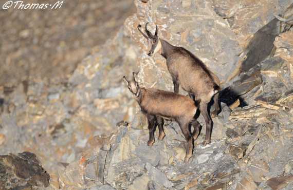 Kayak, Rafting, Canyoning - Camping les Mille Vents