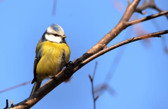 Kayak, Rafting, Canyoning - Camping les Mille Vents