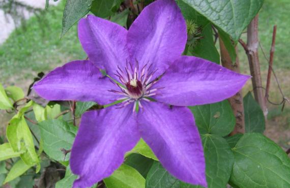 Kayak, Rafting, Canyoning - Camping les Mille Vents