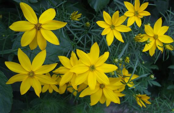 Kayak, Rafting, Canyoning - Camping les Mille Vents