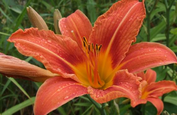 Kayak, Rafting, Canyoning - Camping les Mille Vents