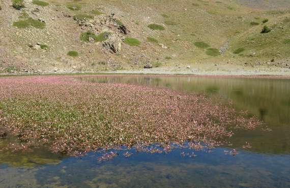 Kayak, Rafting, Canyoning - Camping les Mille Vents