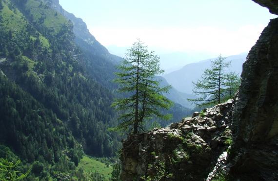 Kayak, Rafting, Canyoning - Camping les Mille Vents